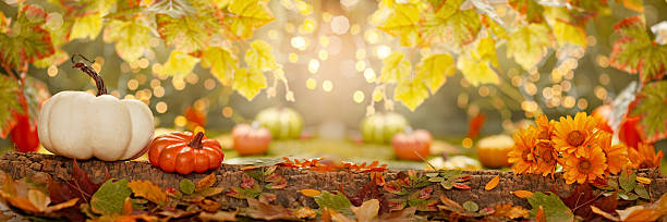 istock Decorative pumpkins, autumn leaves, and flowers on a rustic wood surface with glowing fall lights in the background. Autumn composition 2231759610
