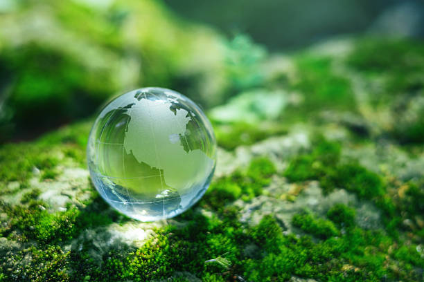 istock clear globe is sitting on  mossy rock 2231763274