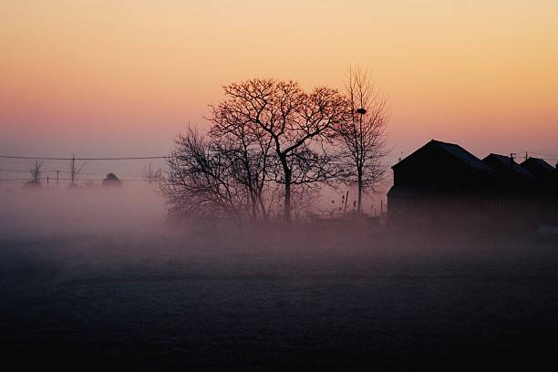 On a cold winter morning, fog blankets the countryside and fields of eastern China.