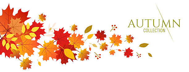 fallende bunte blätter und saisonale designelemente - herbstlaub stock-grafiken, -clipart, -cartoons und -symbole