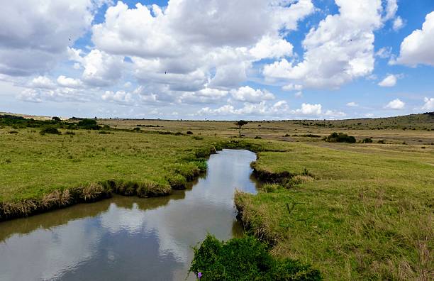 istock Masai Mara River with reflections surrounded by green grass under blue sky and white clouds in Kenya 2231777072