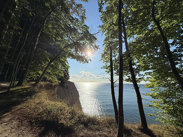 istock Jasmund Nationalpark - Ruegen 2231780062