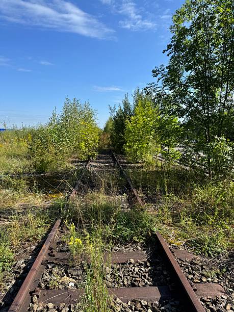 istock The overgrown railway tracks lie under a blue sky, inviting exploration and adventure 2231782316