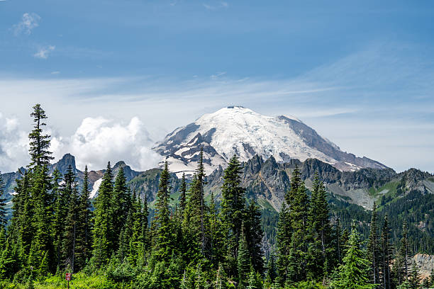 istock Snow-Capped Mount Rainier with Evergreen Forest, Pacific Northwest, USA 2231788290