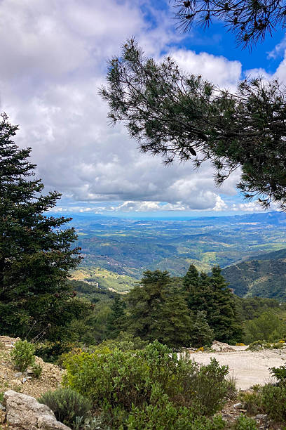 istock Panoramic view on Yunquera and surrunding pine forest from Puerto Saucillo viewpoint, Sierra de las Nieves national park 2231788350