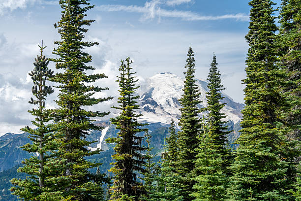 istock Snow-Capped Mount Rainier with Evergreen Forest, Pacific Northwest, USA 2231788597