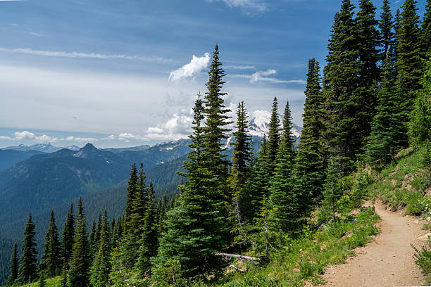 istock Snow-Capped Mount Rainier with Evergreen Forest, Pacific Northwest, USA 2231788655