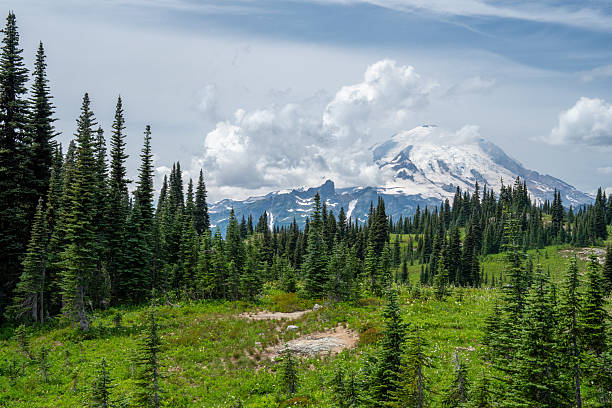 istock Snow-Capped Mount Rainier with Evergreen Forest, Pacific Northwest, USA 2231789662