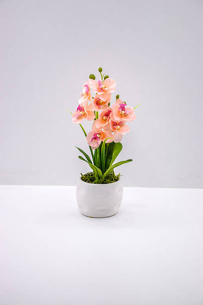 istock Elegant artificial peach and pink orchid in a white ceramic pot, isolated on a clean white background for home decor. 2231790363