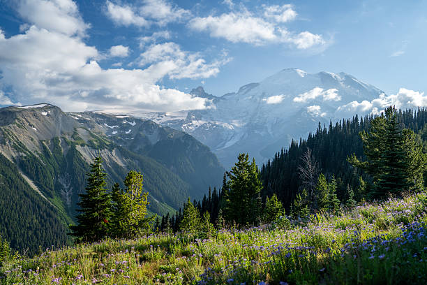 istock Snow-Capped Mount Rainier with Evergreen Forest, Pacific Northwest, USA 2231790678