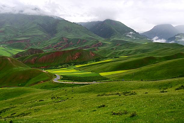 Grassland scenery, Danxia landform, rape flowers