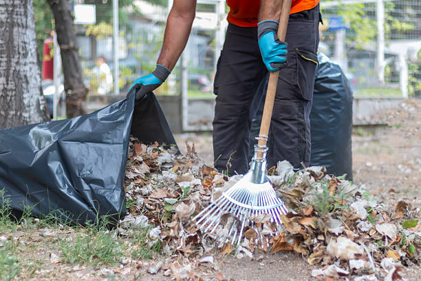 istock Professional gardener working at camping site collects fallen leaves with rake. 2231799703