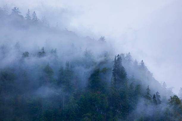 istock Mountain slope in clouds and mist 2231800937