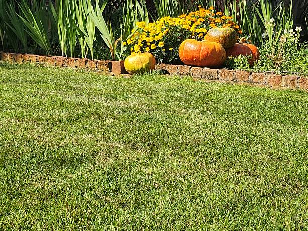 istock View of pumpkins and flowers. 2231801396