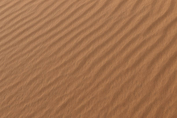 istock Ripples,In,The,Desert,Sand,Dunes. 2231801859