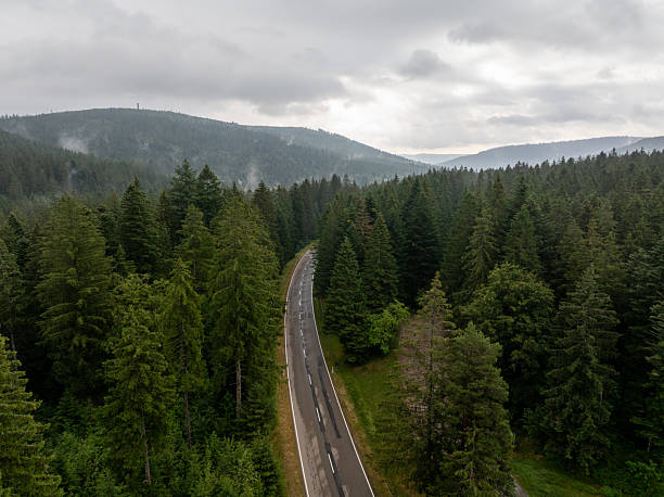 istock Winding road through a dark forest in the black forest mountains, Germany 2231803098