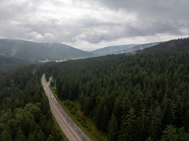 istock Winding road through a lush forest in Germany under cloudy sky 2231803112