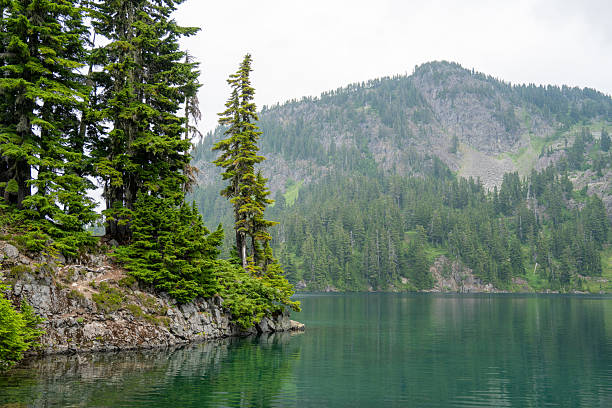 Scenic landscape of Mount Baker in the Pacific Northwest, reflected in a calm clear lake with snow-covered mountain peaks, evergreen trees, and rocky shoreline. A peaceful nature scene highlighting the beauty of wilderness and alpine scenery.