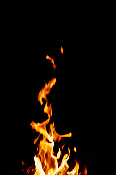 Fire flames isolated on black. The flames are raging  upwards and appear to have animal shapes.