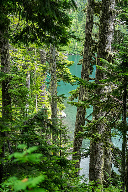 istock Mount Baker Reflected in Clear Lake Water with Snow-Capped Peaks and Evergreen Forest 2231804673