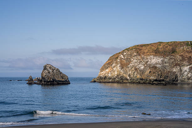A breathtaking view of the rugged Pacific Northwest coastline, featuring dramatic cliffs, lush evergreen forests, and the vast ocean horizon. The scenic seascape captures the raw beauty and wild character of this iconic coastal region, perfect for nature, travel, and landscape photography.