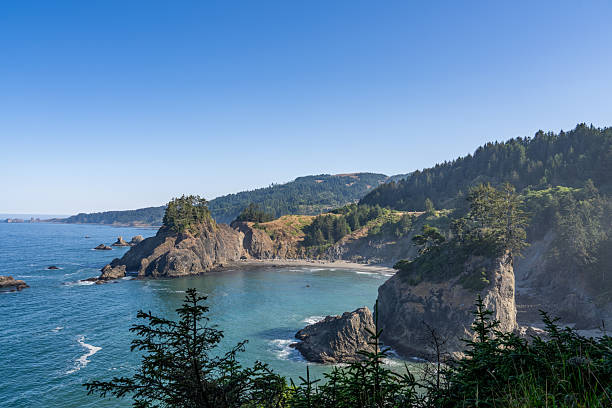 istock Epic Coastal Views of the Pacific Northwest Wilderness 2231805583