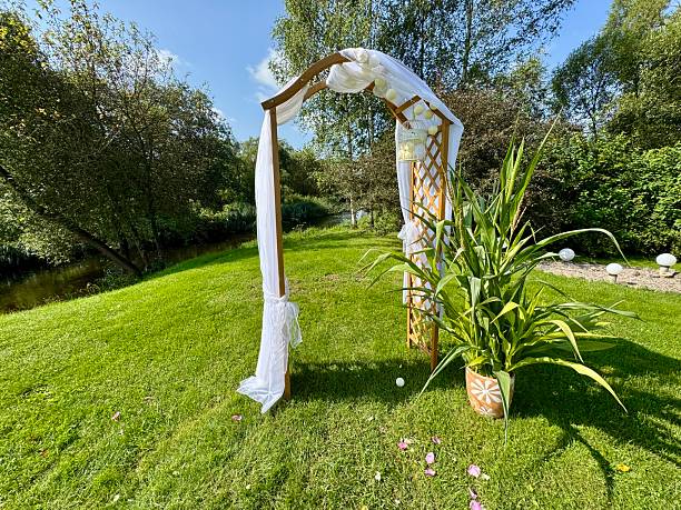 istock Wedding arch with white fabric in green garden 2231805696