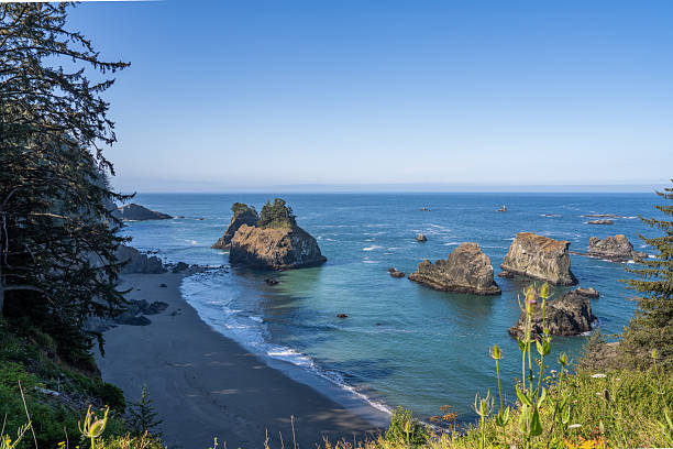 istock Epic Coastal Views of the Pacific Northwest Wilderness 2231805790
