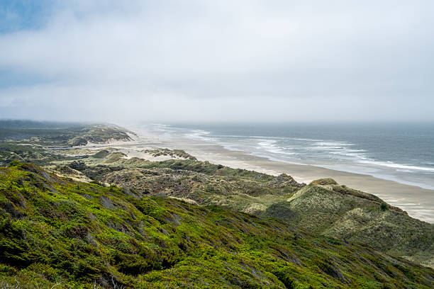 istock Epic Coastal Views of the Pacific Northwest Wilderness 2231805994