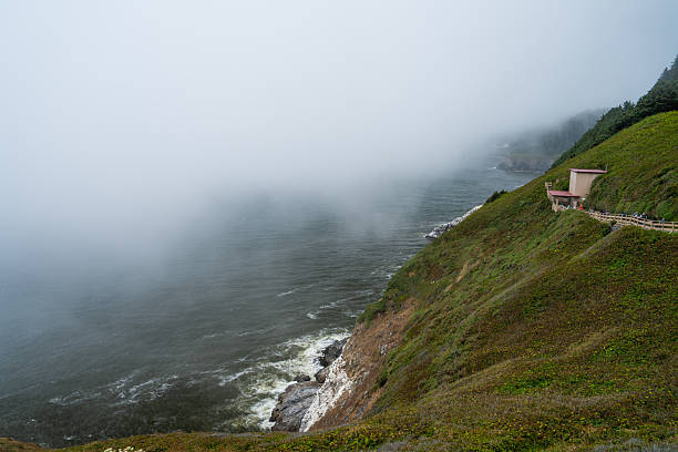 A breathtaking view of the rugged Pacific Northwest coastline, featuring dramatic cliffs, lush evergreen forests, and the vast ocean horizon. The scenic seascape captures the raw beauty and wild character of this iconic coastal region, perfect for nature, travel, and landscape photography.