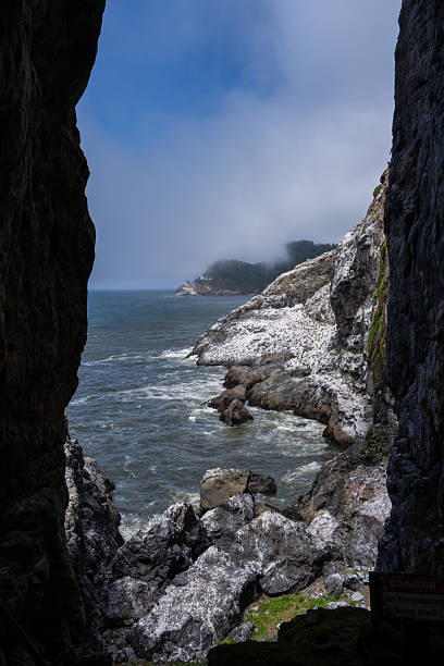 istock Epic Coastal Views of the Pacific Northwest Wilderness 2231806208