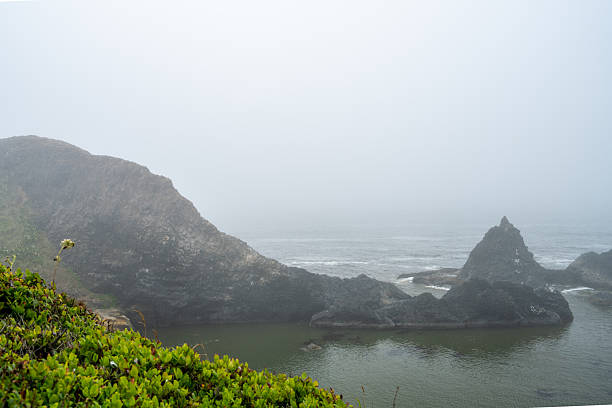 A breathtaking view of the rugged Pacific Northwest coastline, featuring dramatic cliffs, lush evergreen forests, and the vast ocean horizon. The scenic seascape captures the raw beauty and wild character of this iconic coastal region, perfect for nature, travel, and landscape photography.
