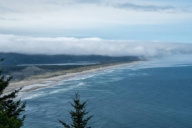 istock Epic Coastal Views of the Pacific Northwest Wilderness 2231806244