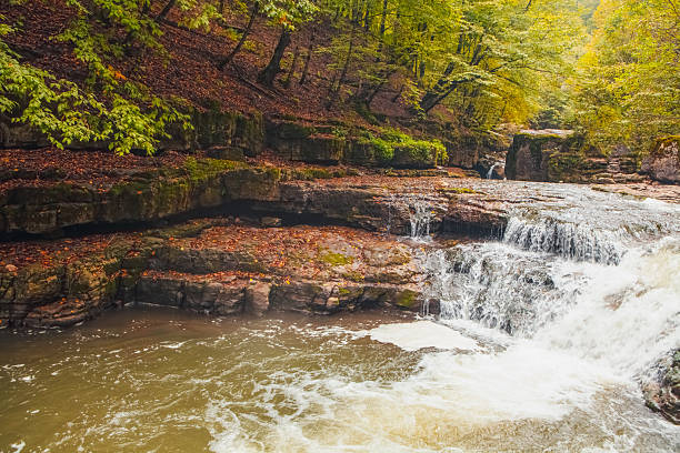 waterfall in the forest. autumn season