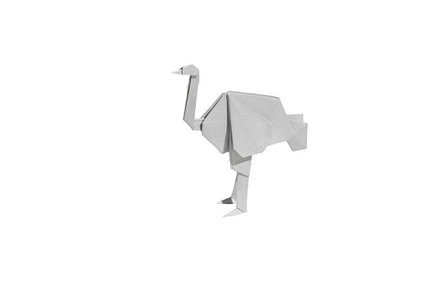 istock White,Origami,Ostrich,Isolated,On,White 2231807206