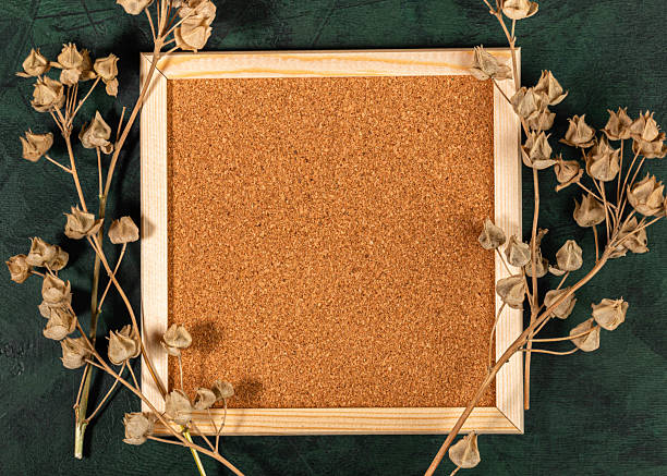 istock Blank corkboard frame surrounded by dried flowers ontextured green background for creative display 2231810122