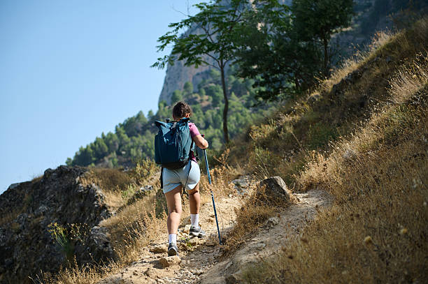 istock Hiker Ascends a Scenic Trail Through Forested Terrain on a Sunny Day 2231810545