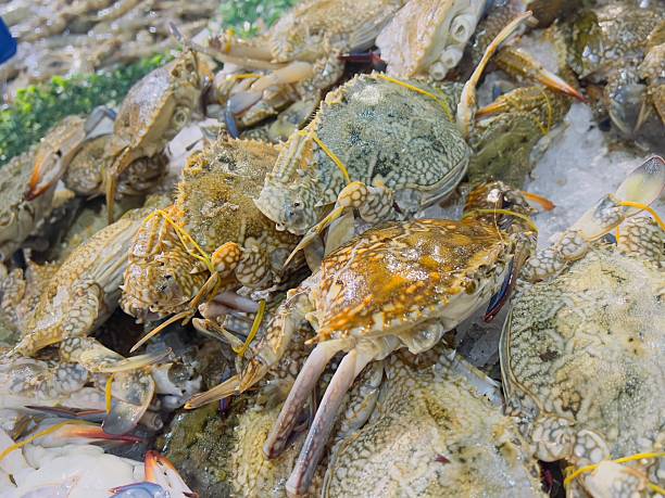Raw Crabs on Ice at Local Market