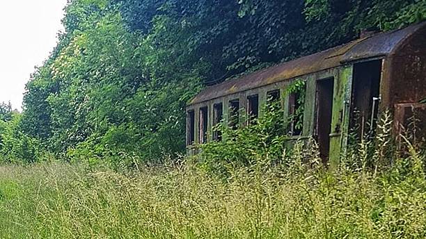 istock Abandoned Passenger Train Car Overgrown with Weeds 2231812271
