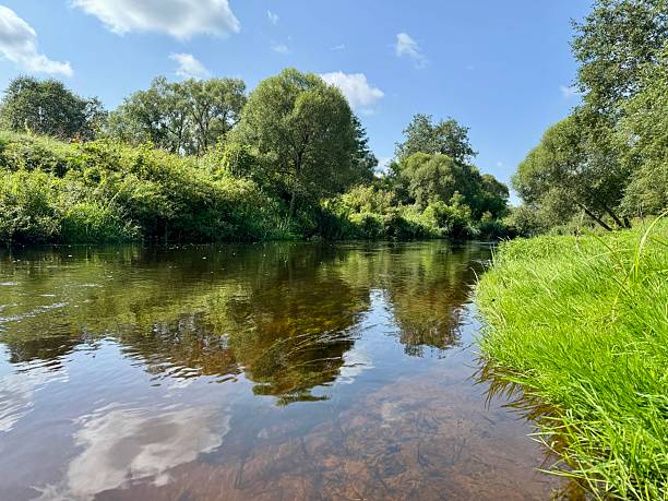 istock Calm river with green trees and clear sky 2231817920