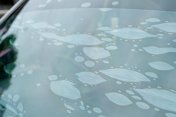 Close-up of a car rear windshield showing peeling tint film with air bubbles caused by prolonged sun exposure, highlighting automotive wear and maintenance issues.