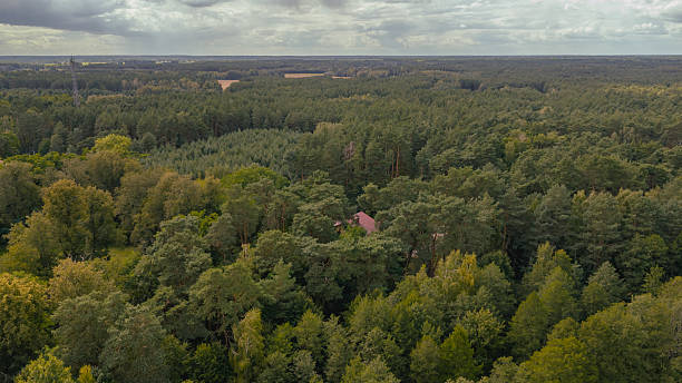 istock Dense Forest with Red Roofed Building in Nowy Lubiel, Poland 2231819765