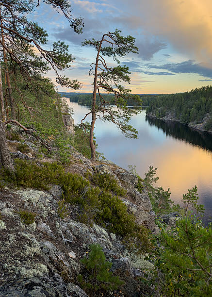 istock Beautiful river landscape in summer 2231821137