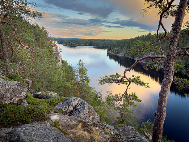 istock Beautiful river landscape in summer 2231821142