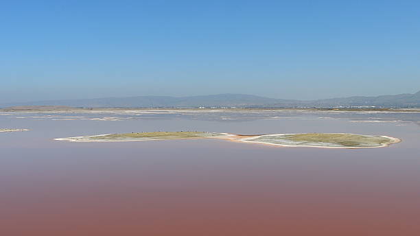 istock Tranquil Pink Lake Scene in California 2231823570