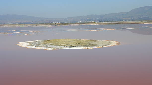 istock Pink Salt Lake in California 2231823575
