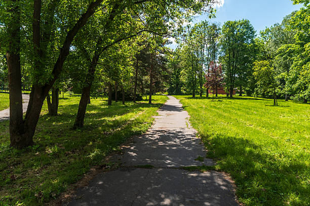 istock Public park with trees, meadow and footpath during partly cloudy springtime day 2231825797