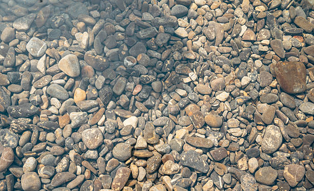 istock Colorful Pebbles in a Riverbed Background 2231826062