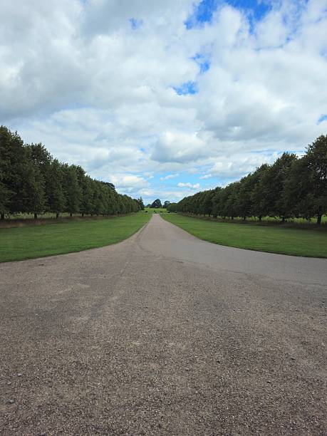istock Long Countryside Road Through Green Trees Under Cloudy Sky