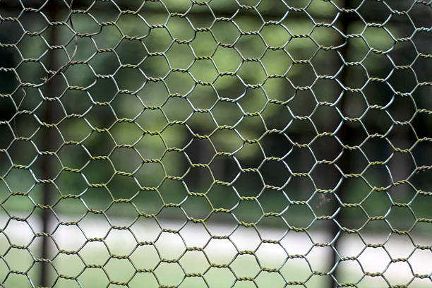 istock Closeup view of hexagonal wire mesh fencing with a blurred green background 2231826607
